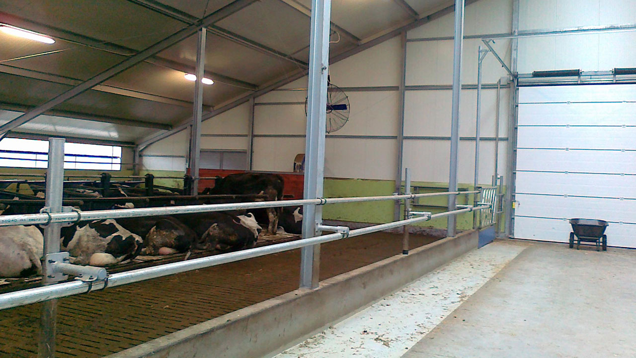 Atelier de proiectare proiectarea clădirilor destinate creşterii animalelor Polonia